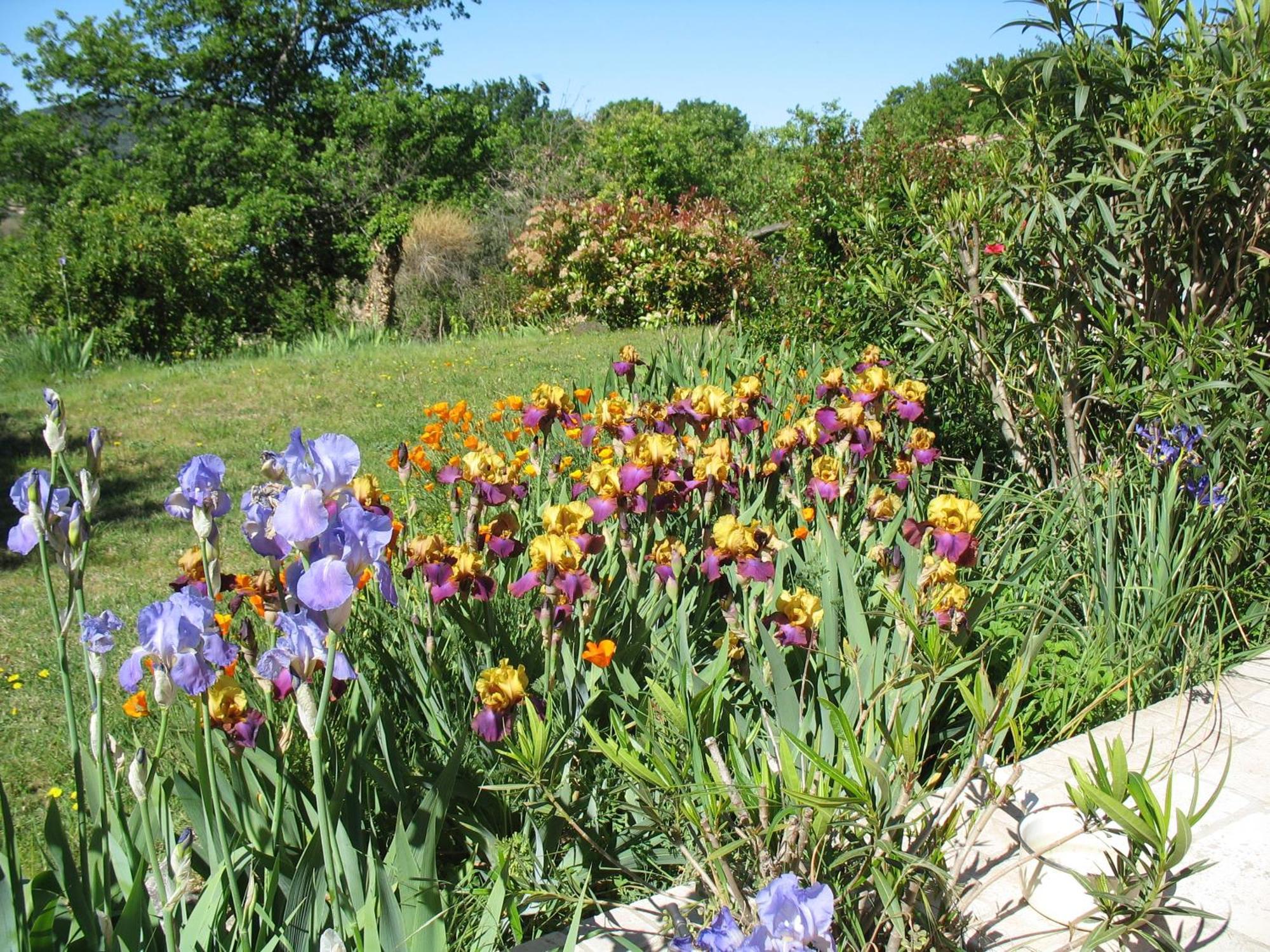 B&B La Cigaline Villedieu  Bagian luar foto